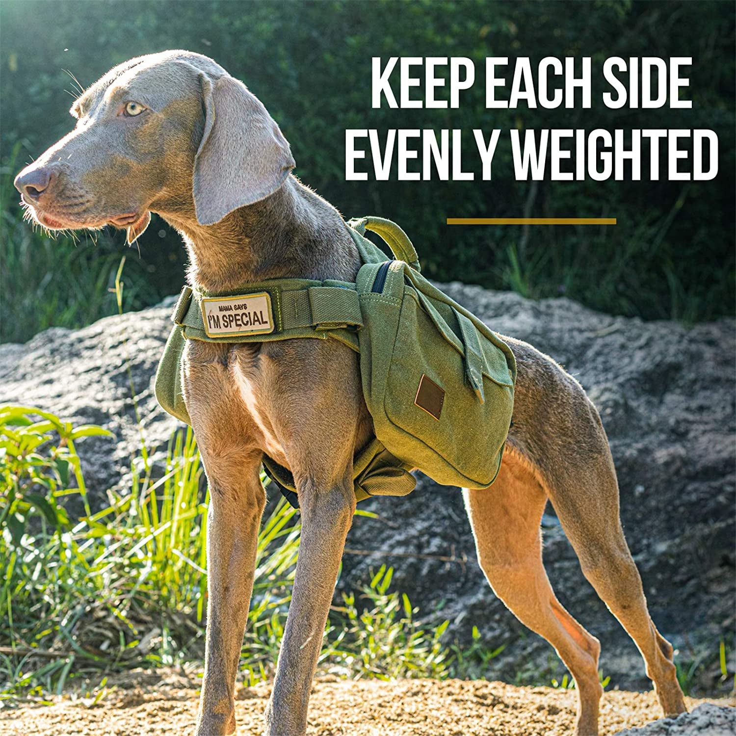 Dog Pack Hound Travel Camping Hiking Backpack Saddle Bag Rucksack for Medium & Large Dog (Green, Large)