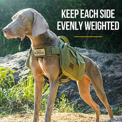Dog Pack Hound Travel Camping Hiking Backpack Saddle Bag Rucksack for Medium & Large Dog (Green, Large)